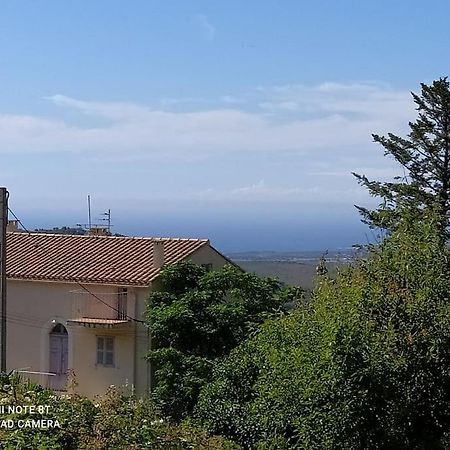 Duplex Avec Jardin, Proche Village Calenzana Extérieur photo
