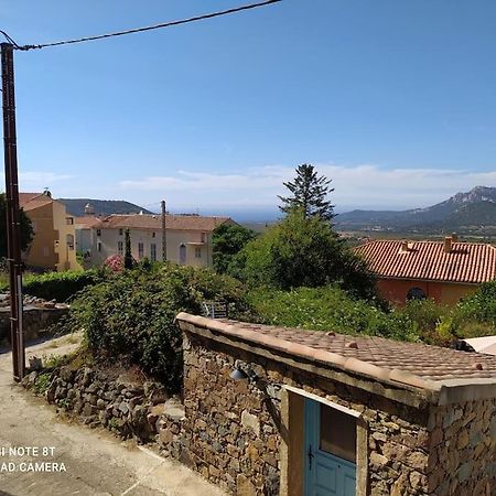 Duplex Avec Jardin, Proche Village Calenzana Extérieur photo
