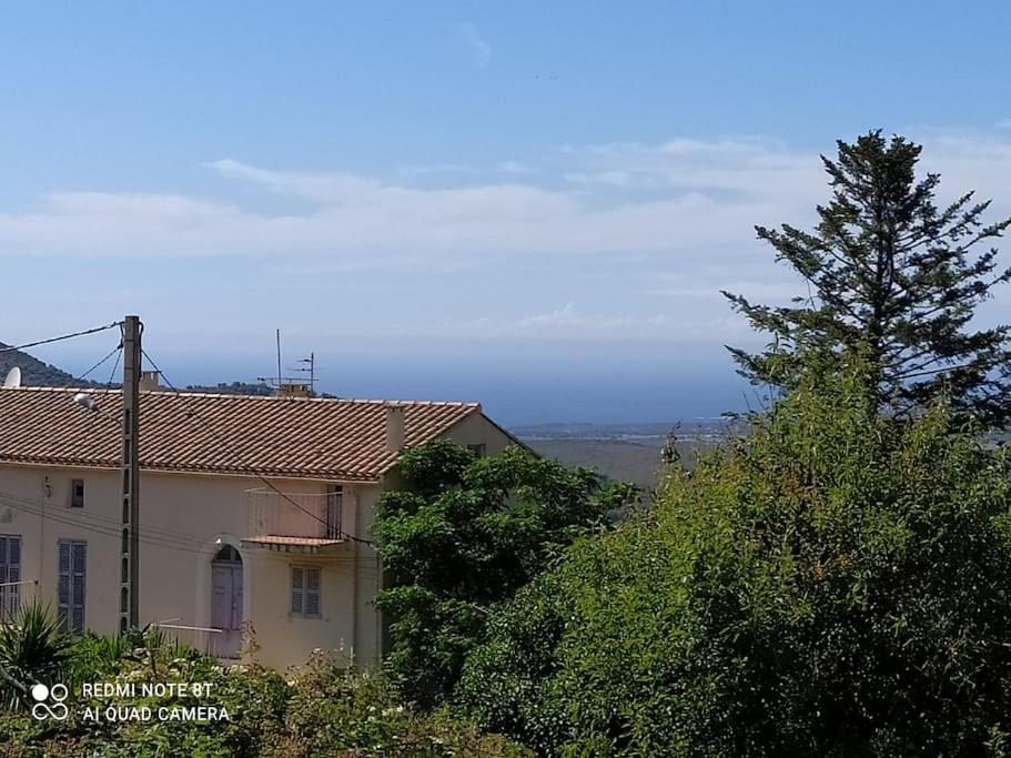 Duplex Avec Jardin, Proche Village Calenzana Extérieur photo